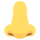 nose